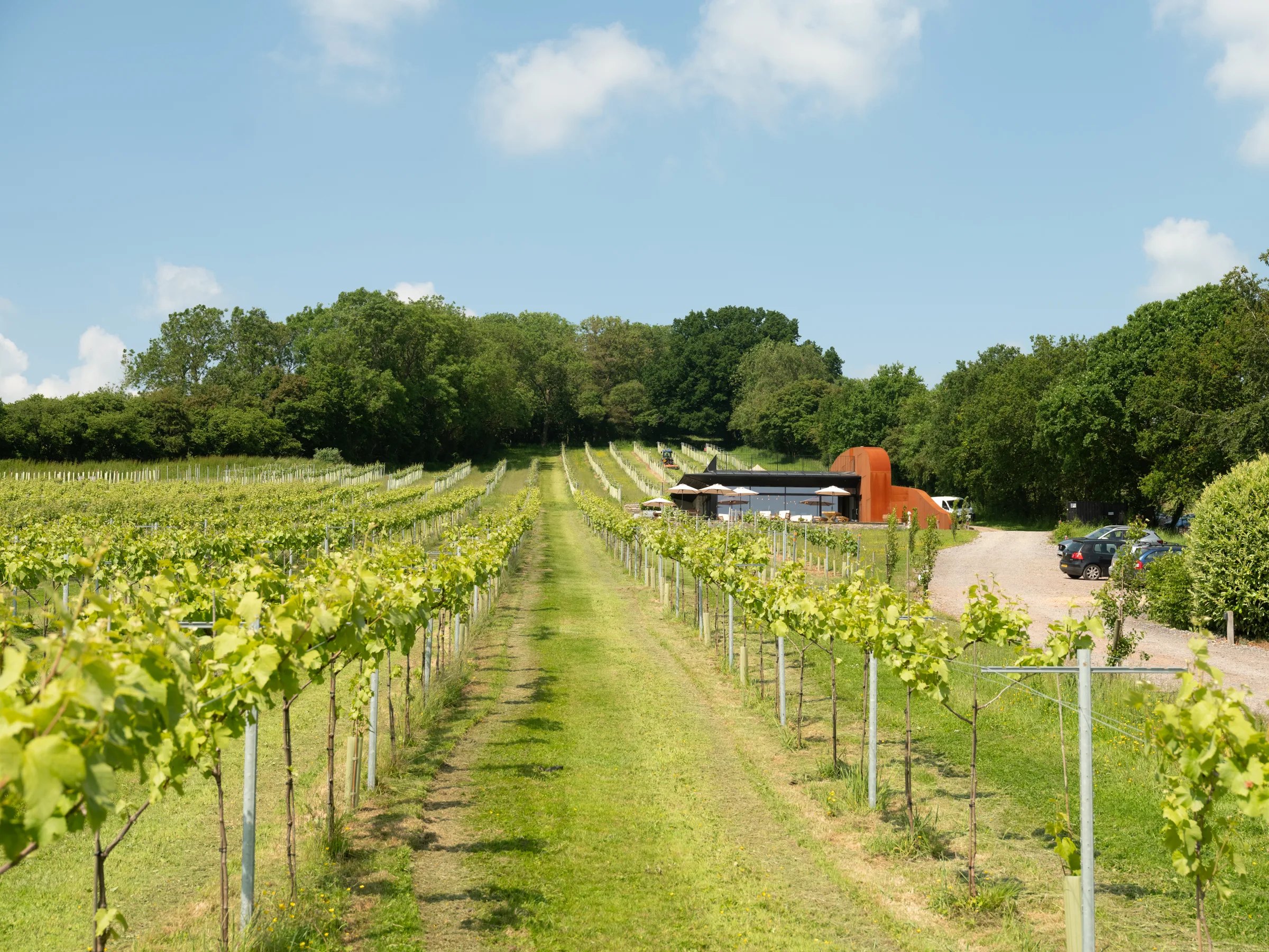 Wraxall Vineyard Somerset First Class English Wines